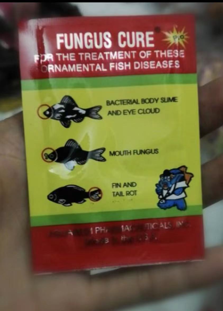 Ngăn ngừa nhiễm nấm api fungus cure