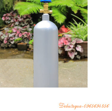 Bình co2 mt2, mt3 thủy sinh