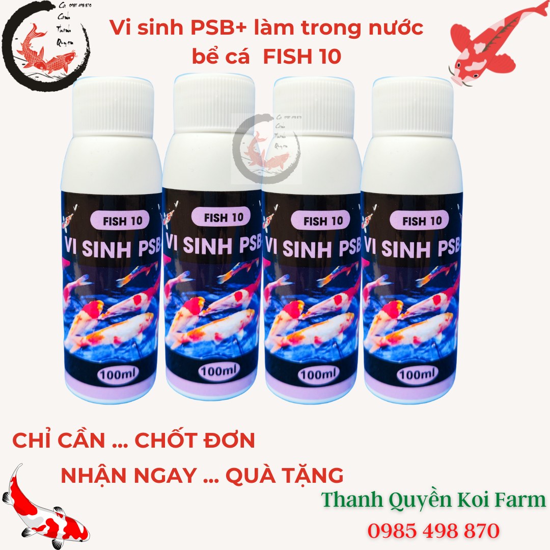 Vi sinh psb+ làm trong nước bể cá, hồ cá koi, cá cảnh fish 10