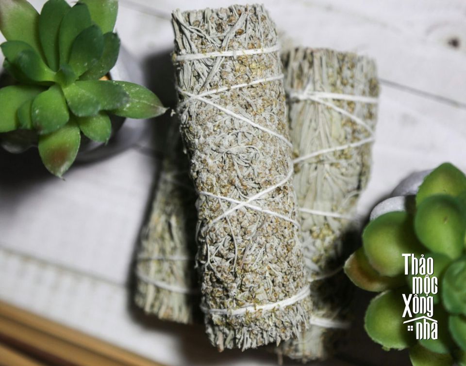 Xô thơm xanh - Blue sage - THẢO MỘC XÔNG NHÀ