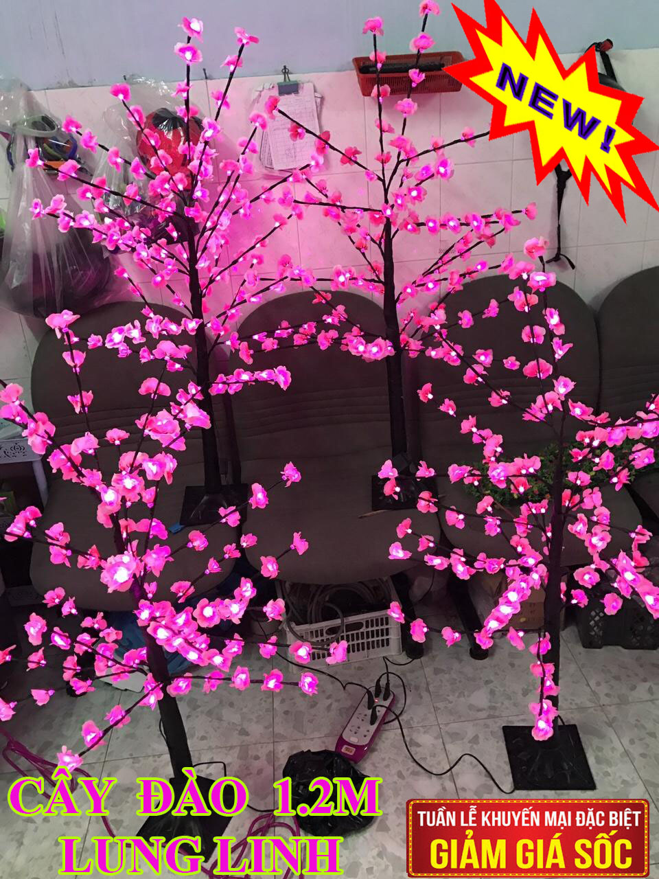 (TẶNG ĐÈN CHỚP)Cây đào thất thốn đang nụ chơi tết.gốc to,mua cây đào chơi tết,Ông bà đi mua cây đào chơi Tết,Cây đào cây mai chơi tết cho mọi nhà tiện lợi chơi trong nhiều năm.(SALE CUỐI NĂM)