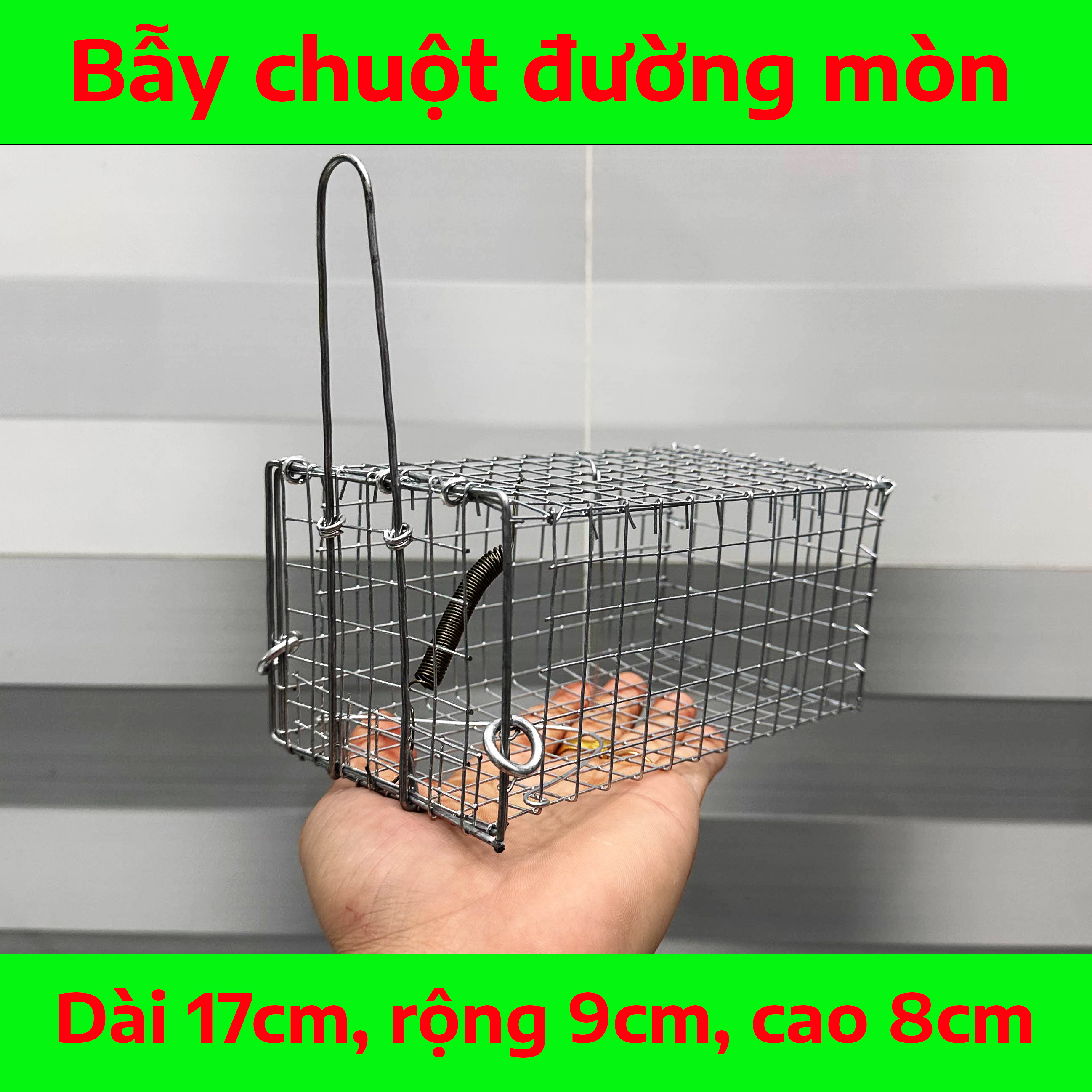 Bẫy Chuột Đường Mòn Có Khoen Chống Sẩy Kích Thước 17x9x8, Đồ Câu Cá