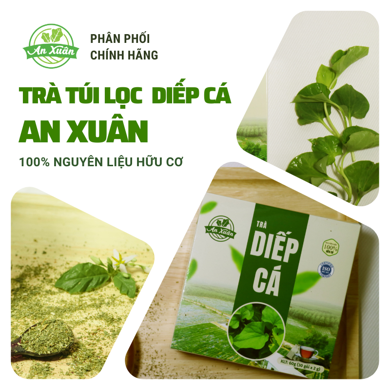 Trà diếp cá An Xuân hộp 20 túi lọc, trà mát gan giải độc tố