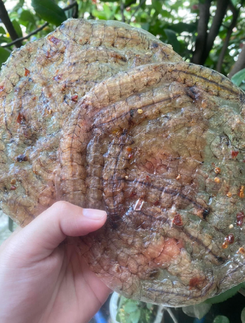 Khô bánh tráng tôm tít ướp vị vừa ăn - vựa khô hải yến