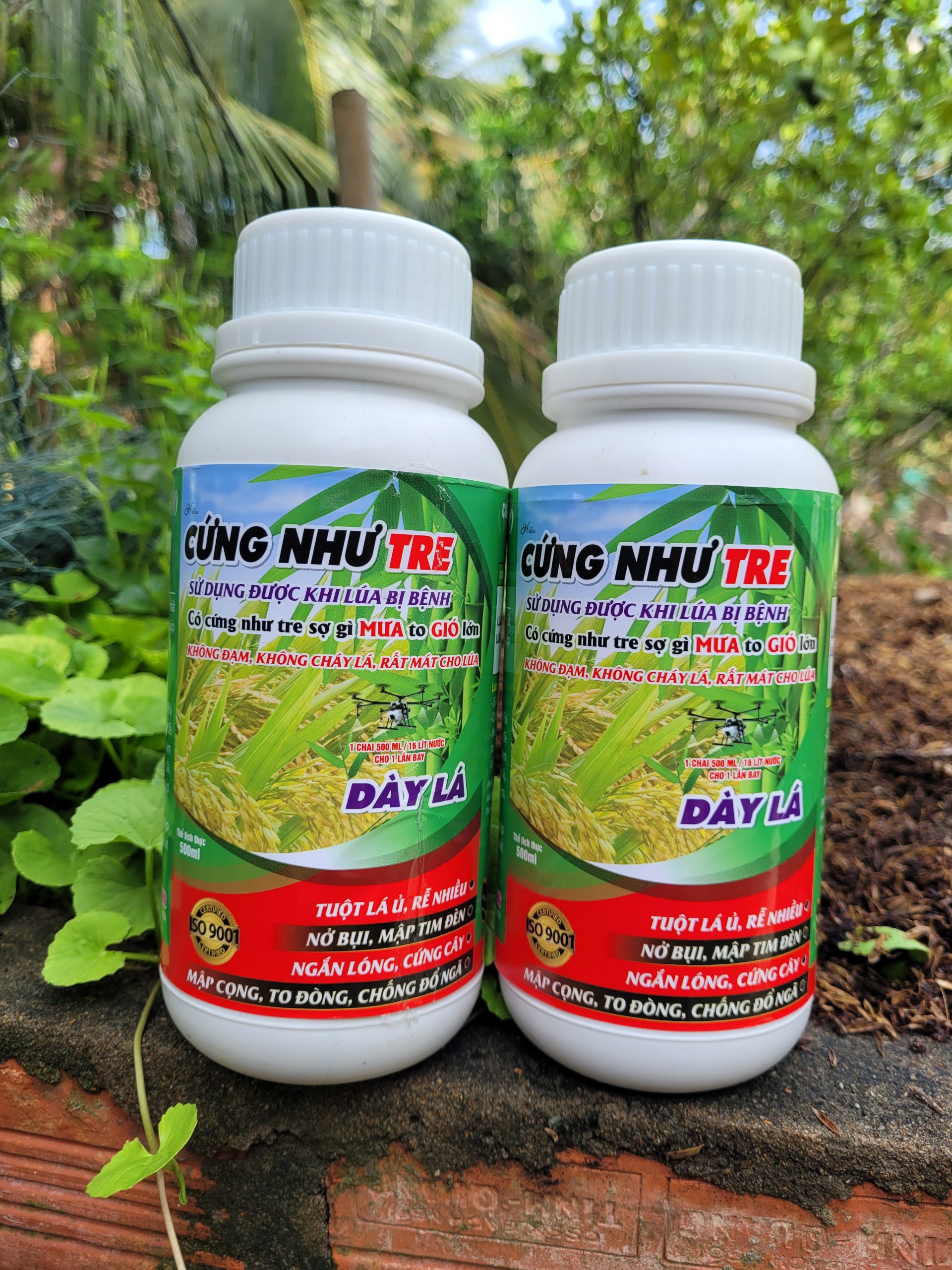 [Freeship Max] CỨNG NHƯ TRE chống đổ ngã, mập cọng, lùn thân chuyên lúa, nếp chai 500ml_VTNN TRUNG THIEN THINH