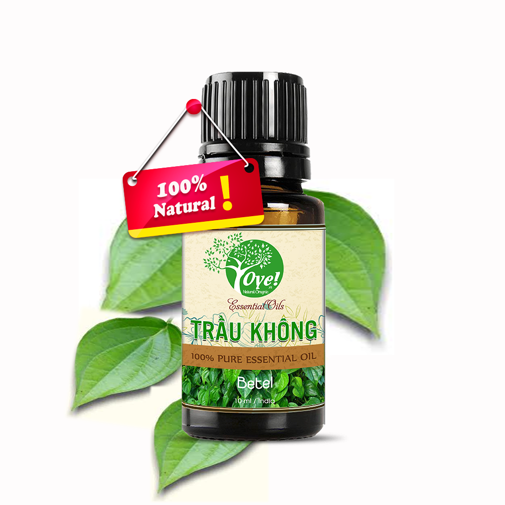 Tinh Dầu Trầu Không 50ml Nguyên Chất
