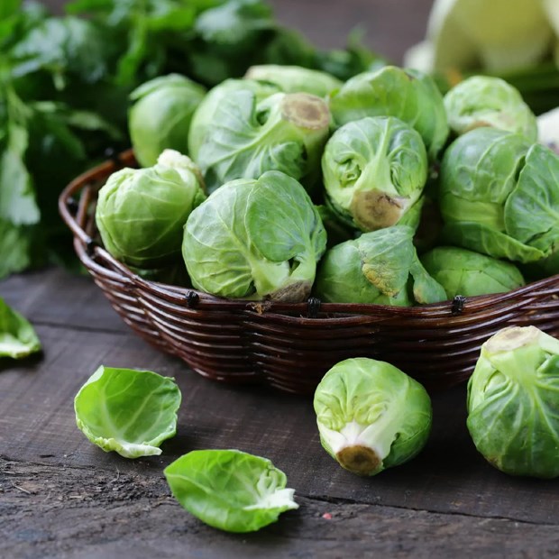 Hạt giống bắp cải mini