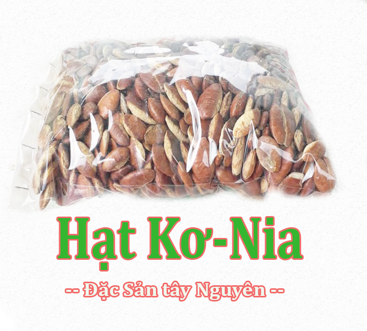 1 kg Hạt Ko Nia rang muối - Hạt Kơ Nia - Hạt khơ nia đặc sản núi rừng Tây Nguyên - Hạt cầy rang muối