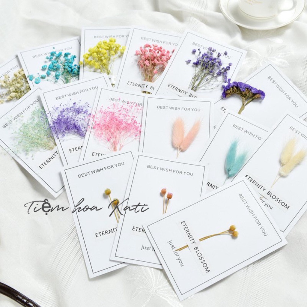 Thiệp hoa khô handmade, thiệp quà tặng