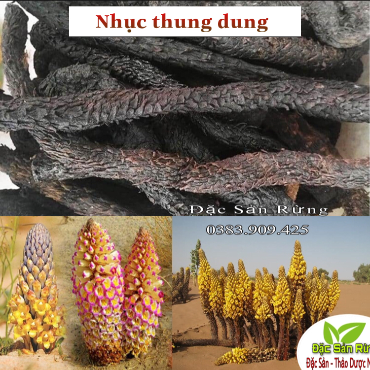 Nhục Thung Dung Khô ( 1kg )  - Tăng Sinh Lý
