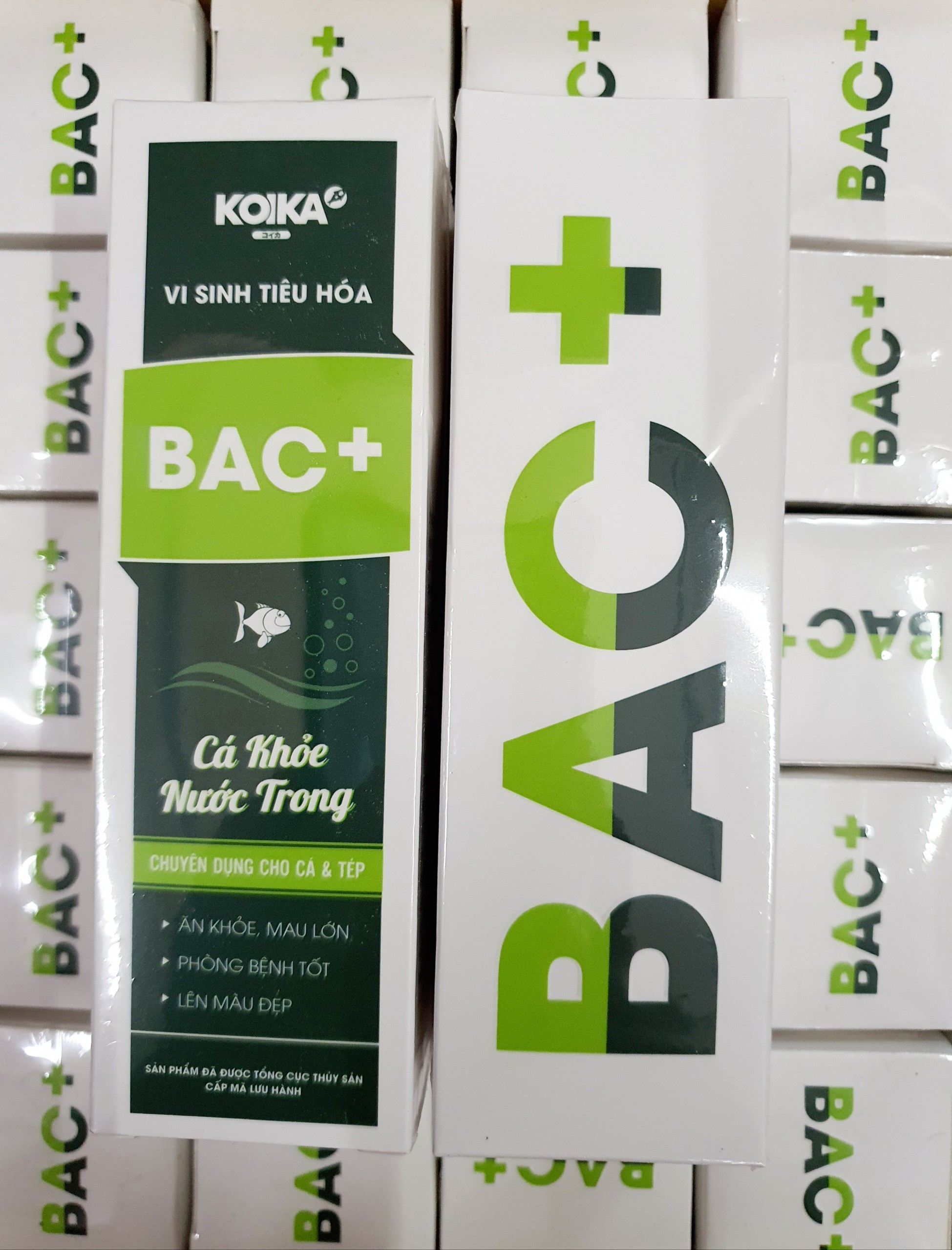 Men vi sinh koika bac+ | men tiêu hóa cho cá