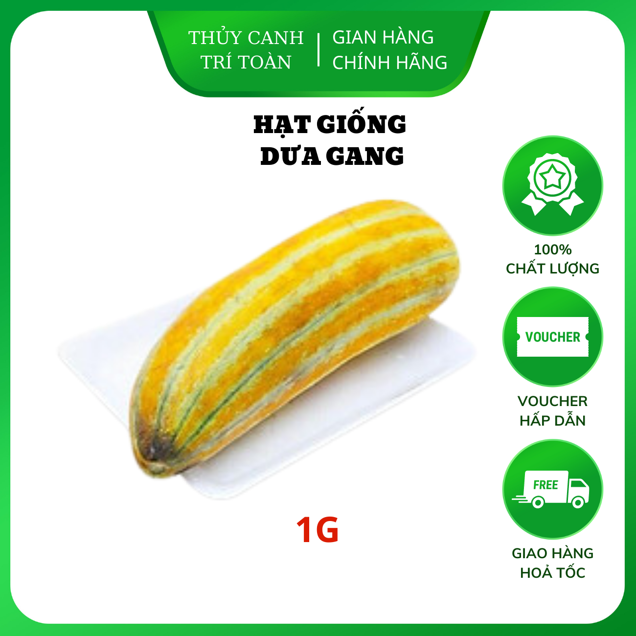 Hạt giống Dưa Gang trái dài, thơm, ngon, trồng quanh năm - Hạt giống Rạng Đông