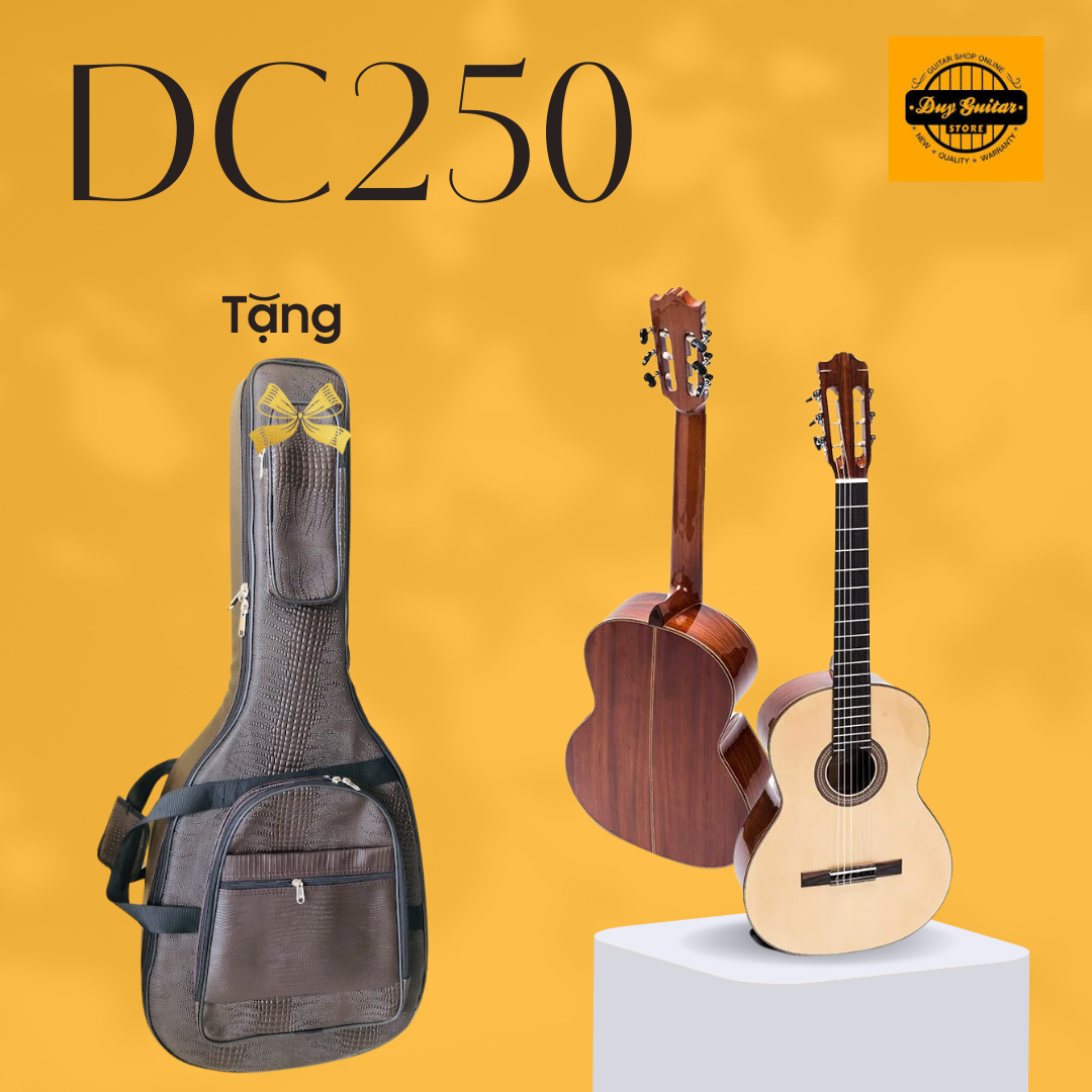 Đàn guitar classic size lớn DC250 Gỗ hồng đào full solid chất lượng cao Duy Guitar Store dòng đàn ghitar cổ điển âm thanh tốt giá tốt
