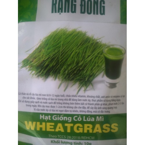 Combo 5 gói Hạt giống cỏ lúa mì gói 10 gam