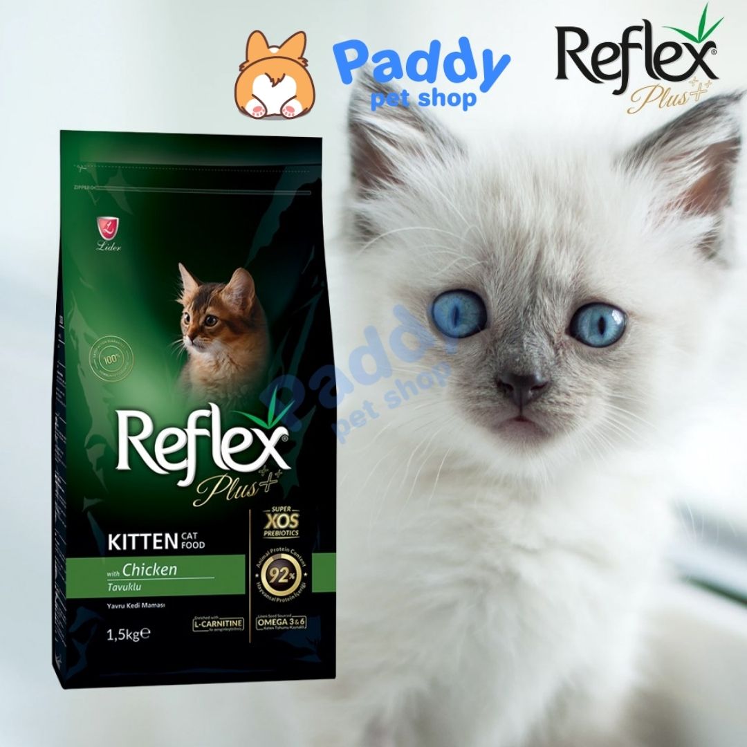 Hạt Reflex Kitten Cho Mèo Con