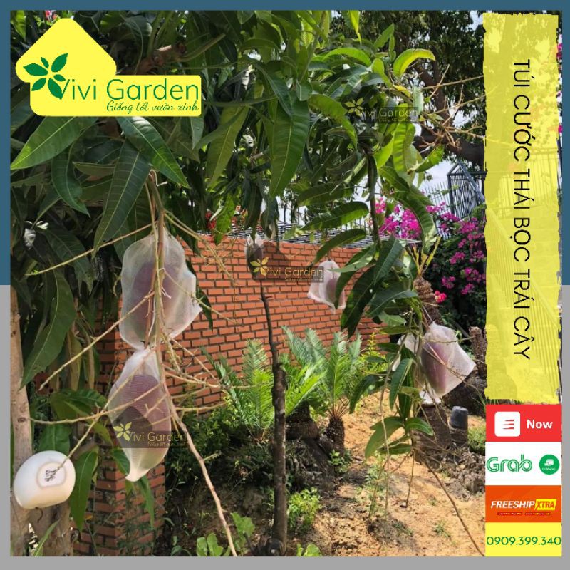 [HCM]Combo 10 Túi Cước Thái Dày Mịn Nhiều Size Bọc Trái Cây Có Thể Tái Sử Dụng Nhiều Lần