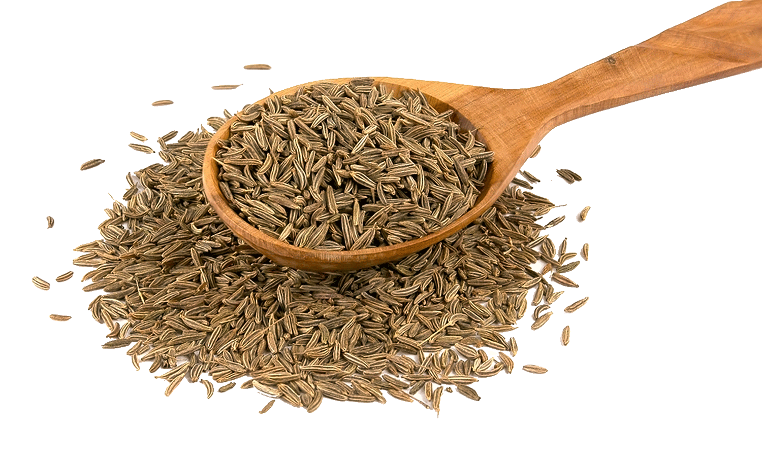 Cumin seeds - jeera - hạt thì là jeera