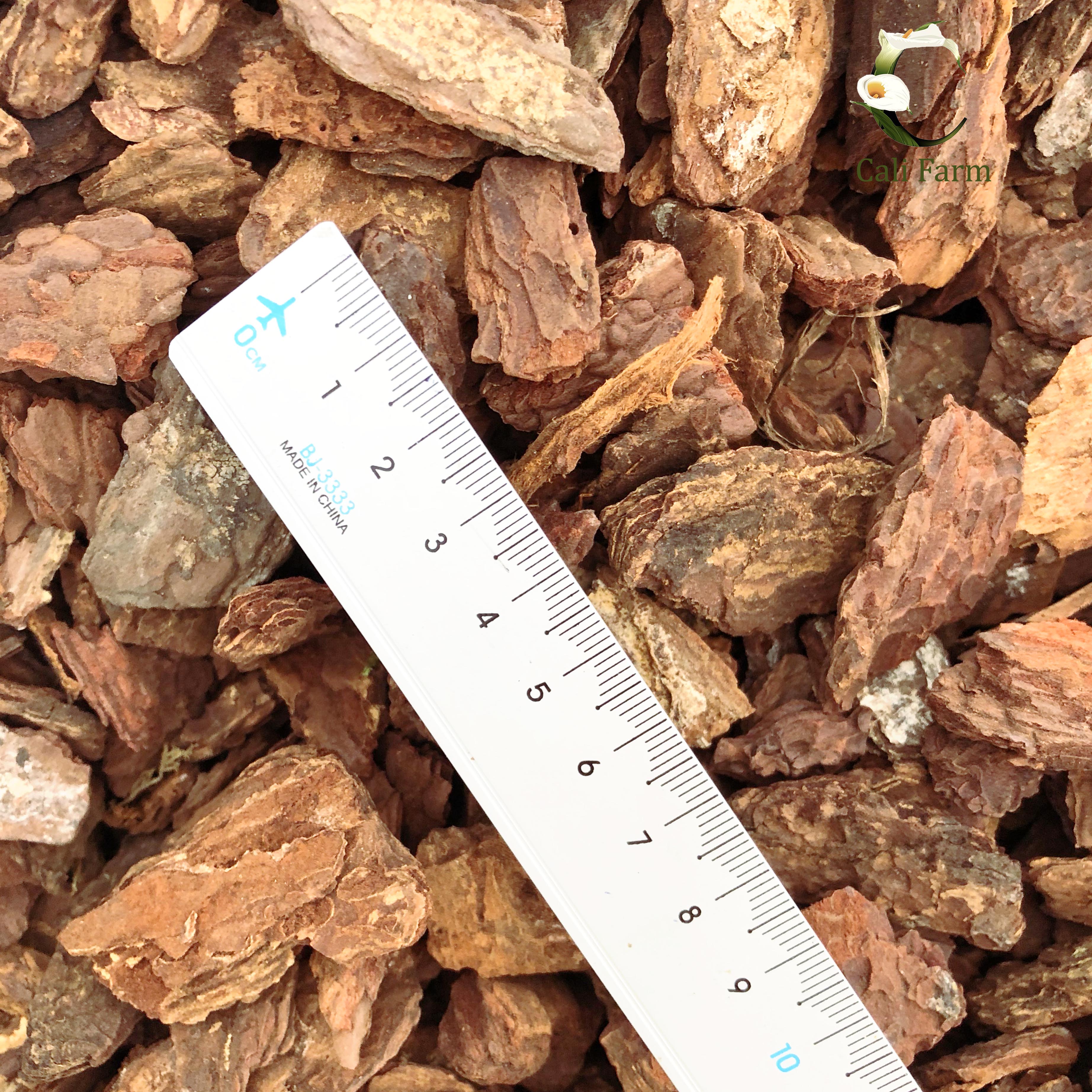 Vỏ thông 2cm đã qua xử lí 300g