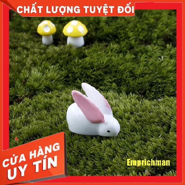 Thỏ mini phụ kiện trang trí tiểu cảnh