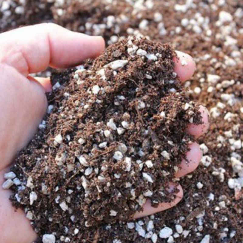Đất trộn trồng xương rồng sen đá túi 1kg