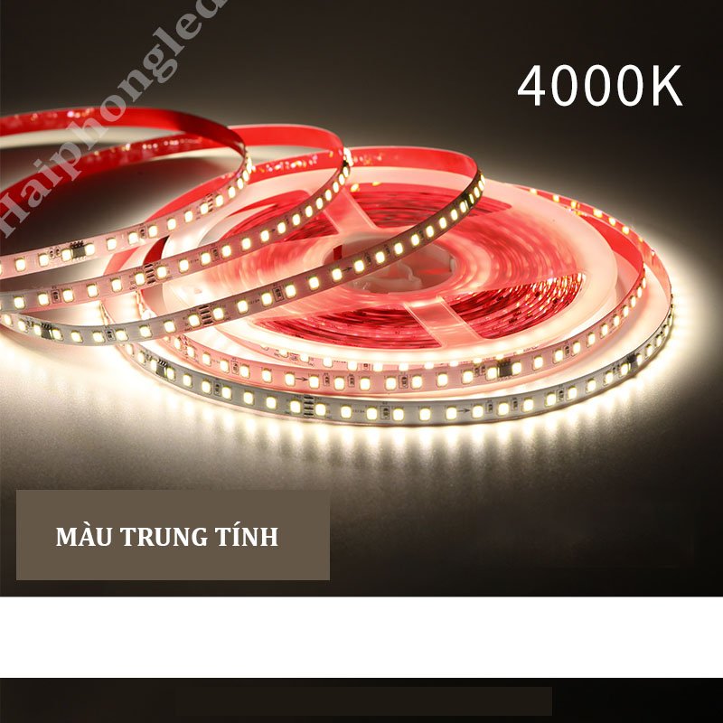 Dây đèn led hắt trần 10m siêu sáng siêu tiết kiệm điện đèn led dây 24v 2 màu trắng vàng dải đèn led dây dán bản rộng 8mm mạch dẫn đồng cao cấp cuộn đèn led dùng cho biển quảng cáo đèn led trang trí nội thất mạch trần giá tốt