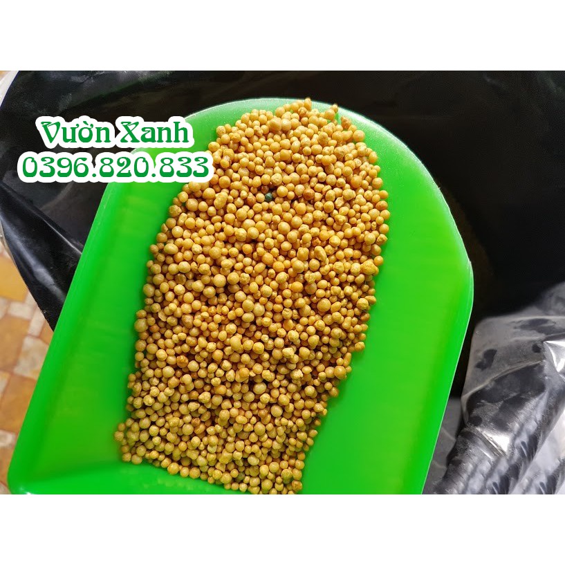 Phân vàng osmocote 14-14-14 tan chậm 200gr
