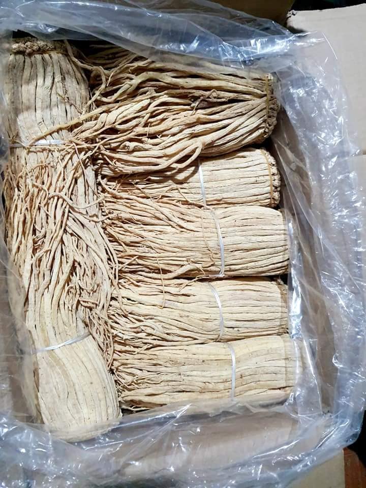 100g Đẳng sâm khô - đang sâm