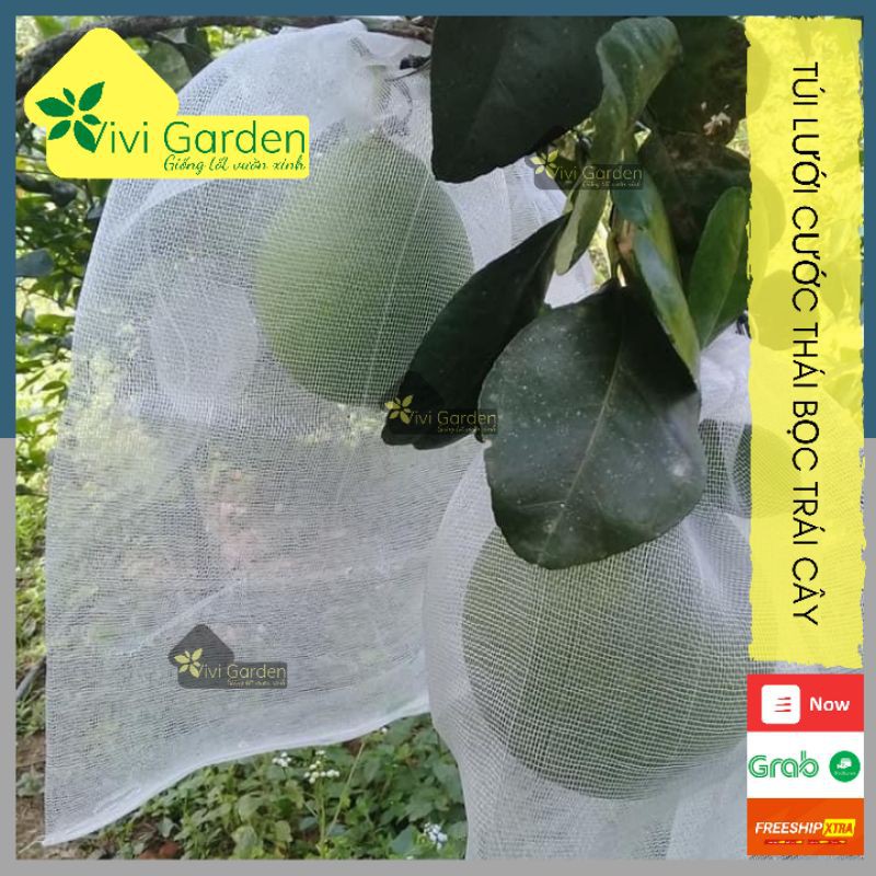 Combo 50 túi cước thái bọc bưởi, dưa lưới dưa lê,.. size 30x35 bền chắc bảo về trái cây tái sử dụng đến 2 năm