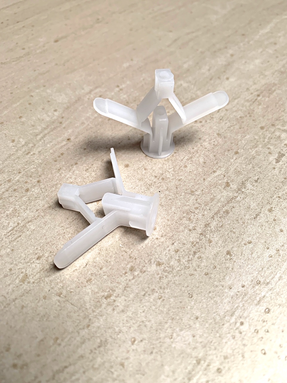 [HCM]100 Tắc kê bướm cao cấp R01