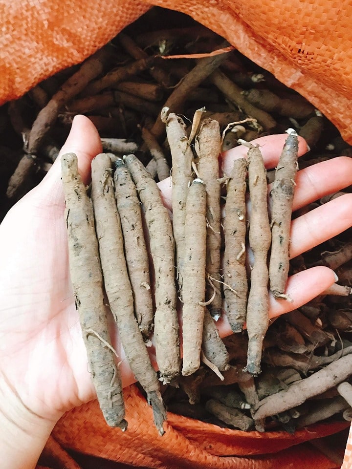 Bán sâm tiên mao khô - Sâm cau đen khô - Sản phẩm cao cấp của công ty - Gói 200gr