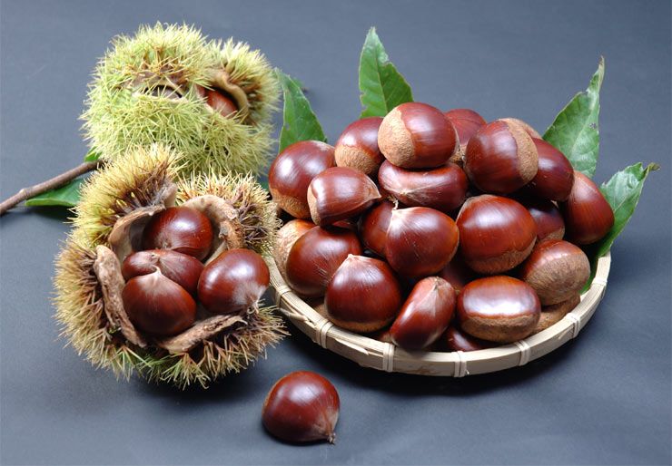 1kg hạt dẻ nếp tươi sapa