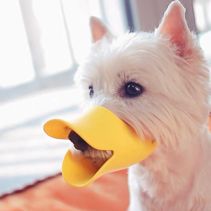 [HCM]Rọ mõm hình mỏ vịt VÀNG cho chó mèo thú cưng SIZE M