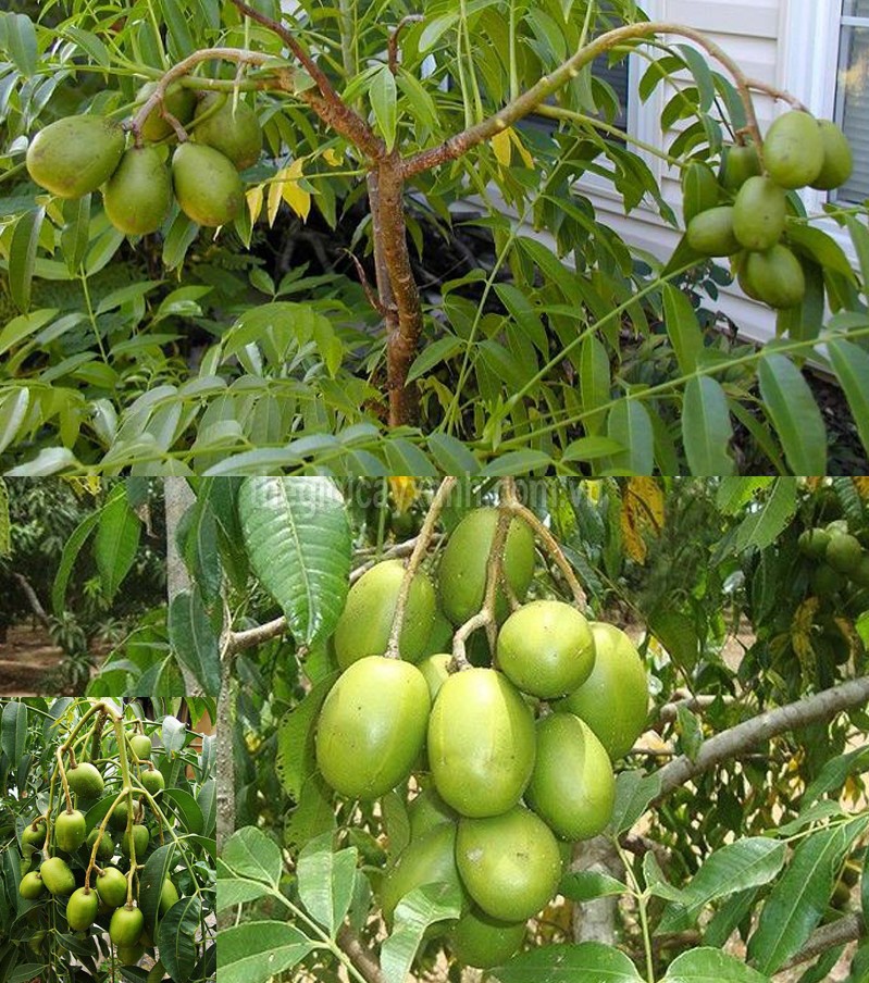 qBhUy7tDxMDSijAhUeky_simg_d0daf0_800x1200_max.jpg