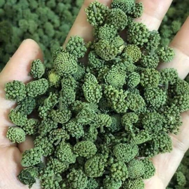 50g nụ tam thất bao tử bao tử không cuống