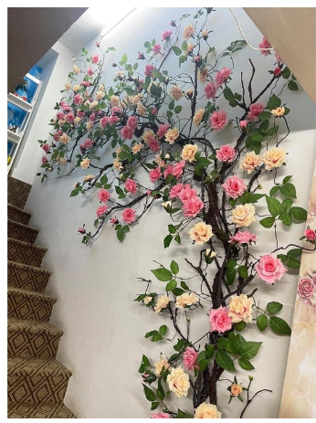 Dây leo Hoa hồng - Hoa lụa