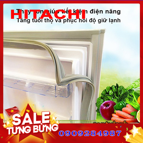Ron cửa cho tủ lạnh hitachi model r-h200pgv4