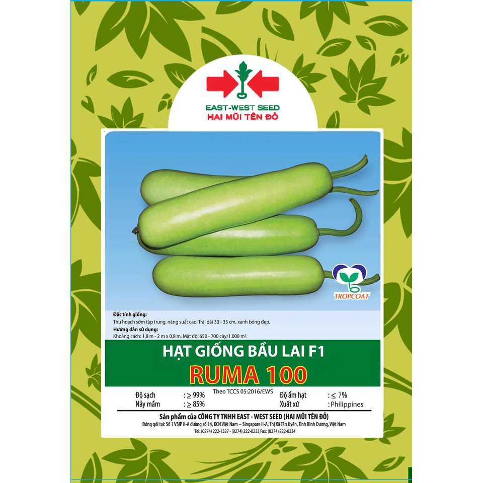 Hạt giống bầu Ruma 100 Hai mũi tên