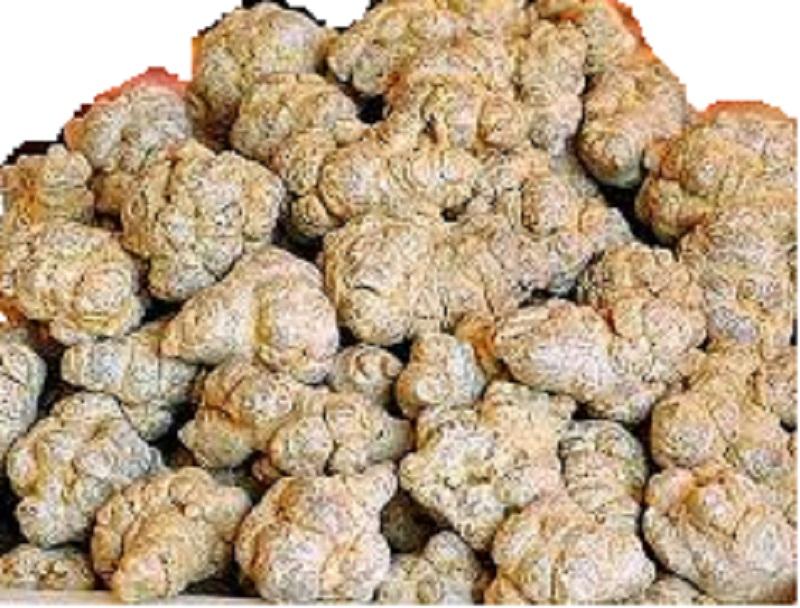 100 g Củ Tam Thất Bắc Khô