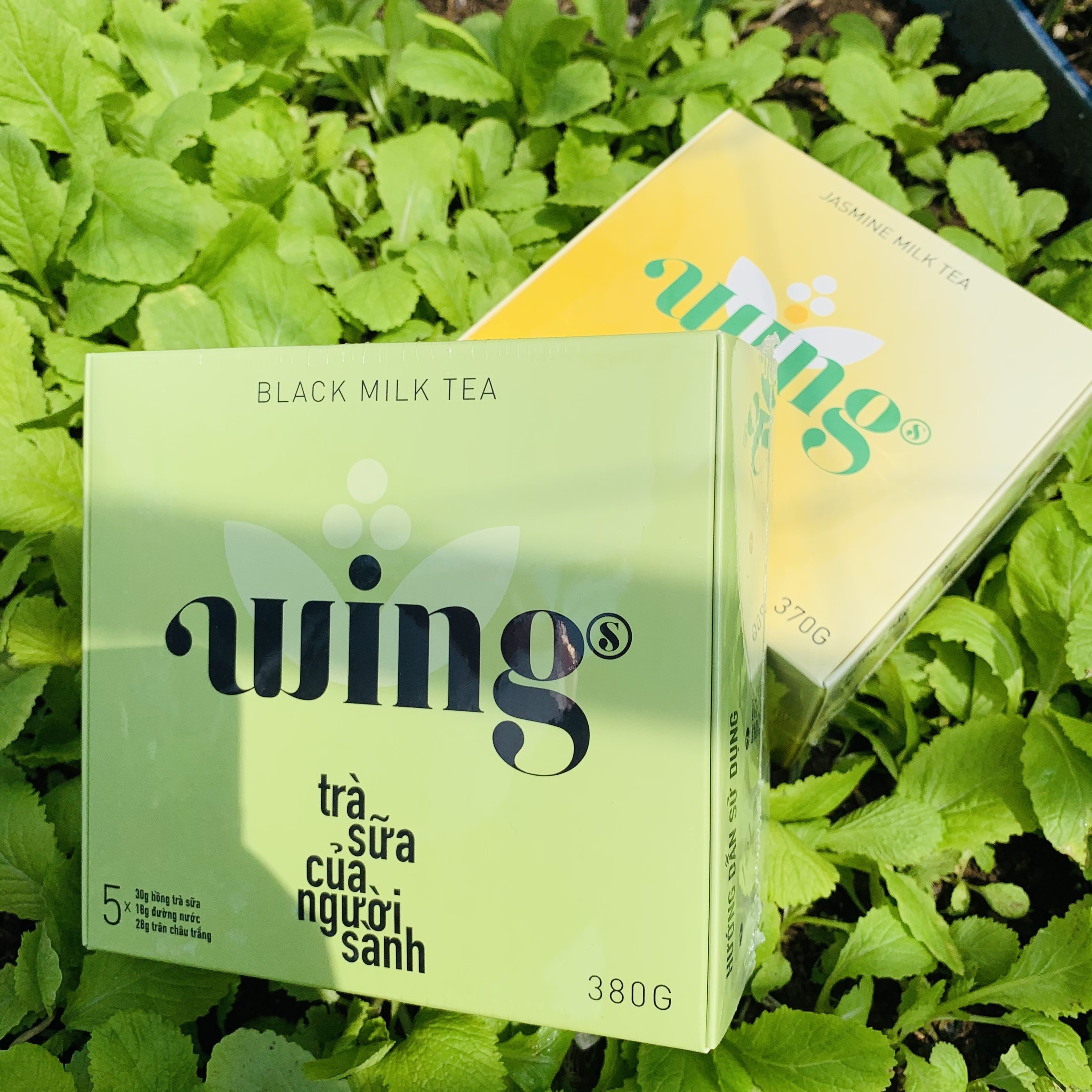 Trà sữa hoà tan WING Set 5 gói tự pha siêu ngon vị Hồng trà, Nhài