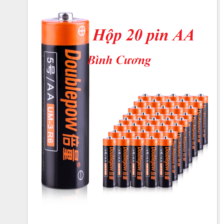 Hôp 20 viên pin tiểu Doublepow AA
