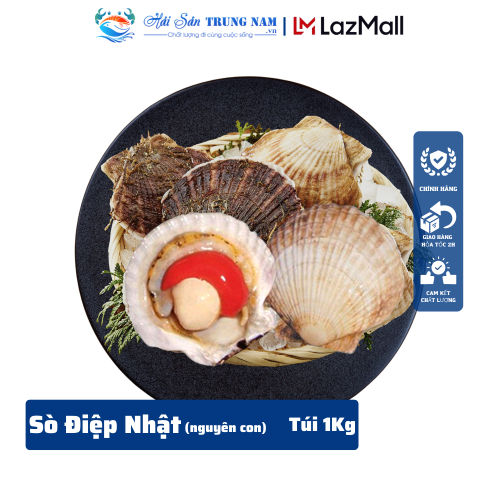 Sò Điệp Nhật Nhập Khẩu Nguyên Con Túi 1Kg 8-10 Con