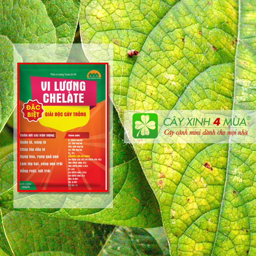 Phân bón vi lượng chelate - khối lượng 10g