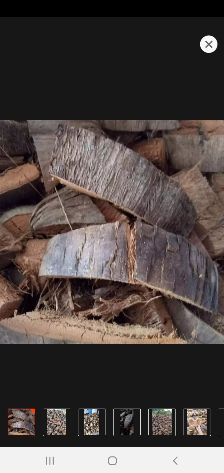 Vỏ dừa khô trồng lan 1kg