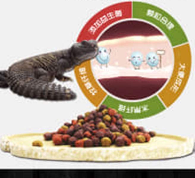 thưc cây khô trái cây dành cho thú cưng nhỏ . da bò sát , hamtẻ , sóc ..v.v (gói /50g)