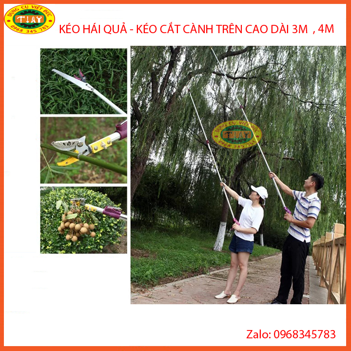 KÉO HÁI QUẢ - KÉO CẮT CÀNH TRÊN CAO DÀI 3M- Gậy hái hoa quả,kéo cắt quả trên cao dài 3m