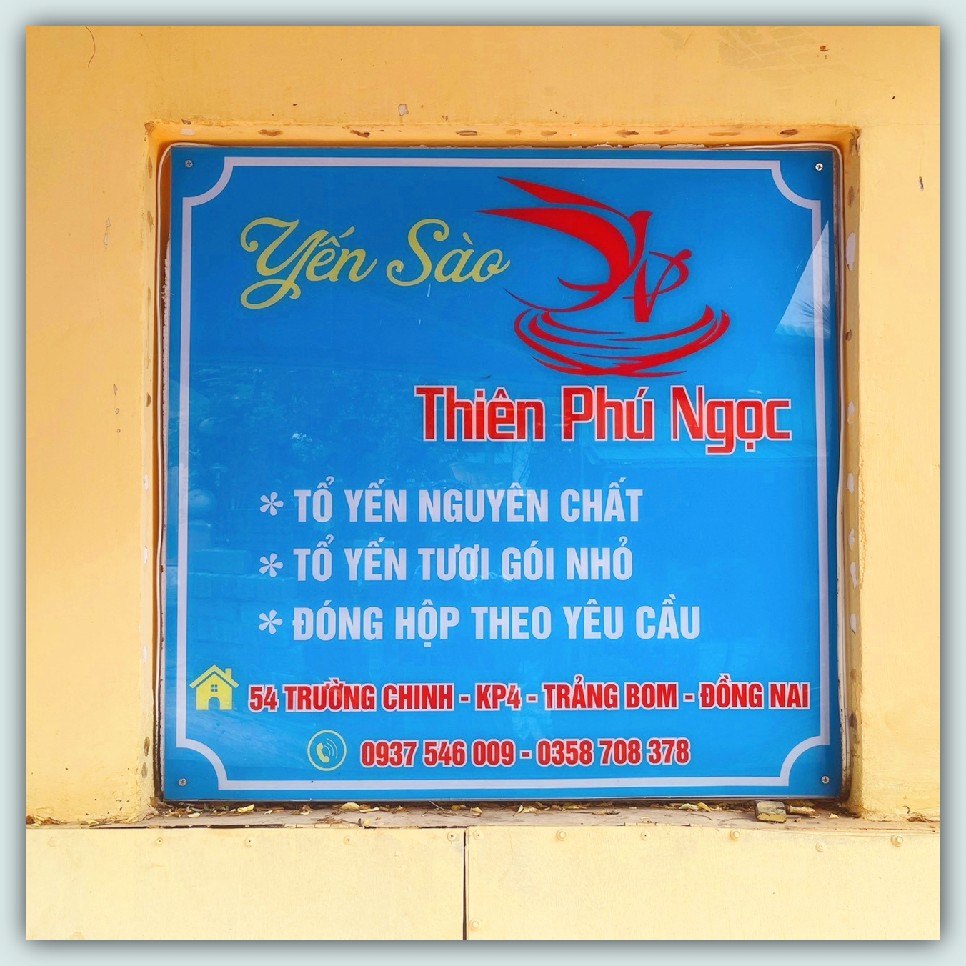 Nhíp nhặt lông yến