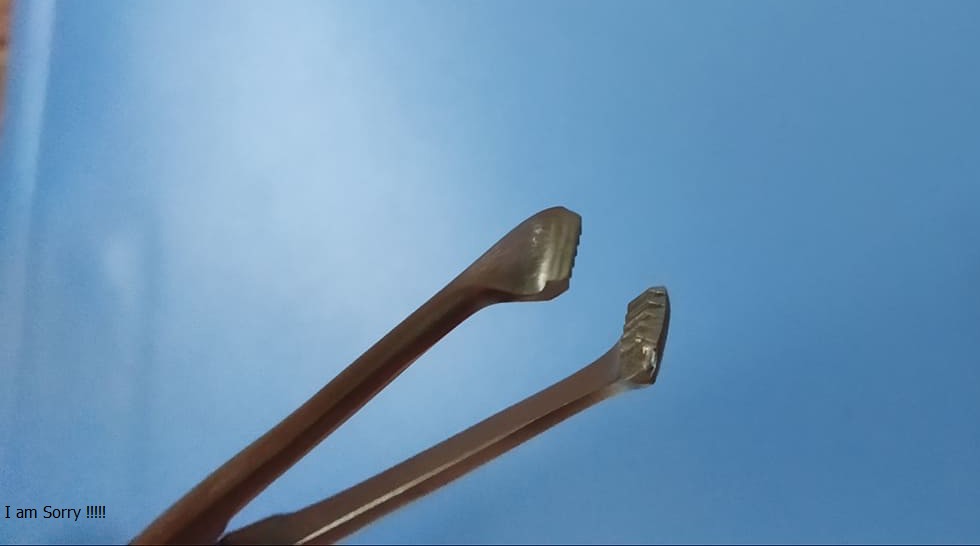 Kẹp răng chuột Pakistan