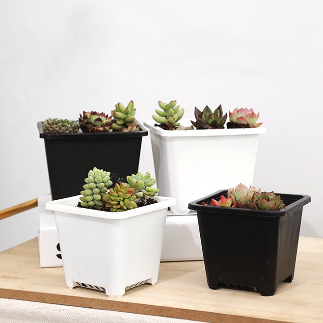 Set 10 Chậu nhựa vuông cứng đen trắng Hesede