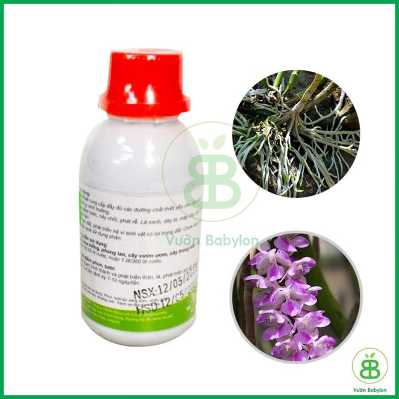 Phân bón vi lượng thủy phân cá biển vif sup bo chai 100ml