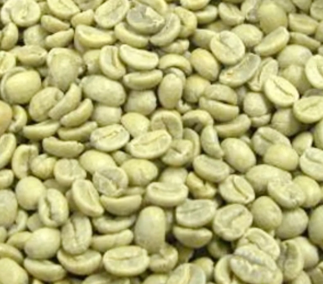 1kg Cà phê nhân sống Robusta chưa rang xay nguyên chất sạch vỏ Lâm Đồng